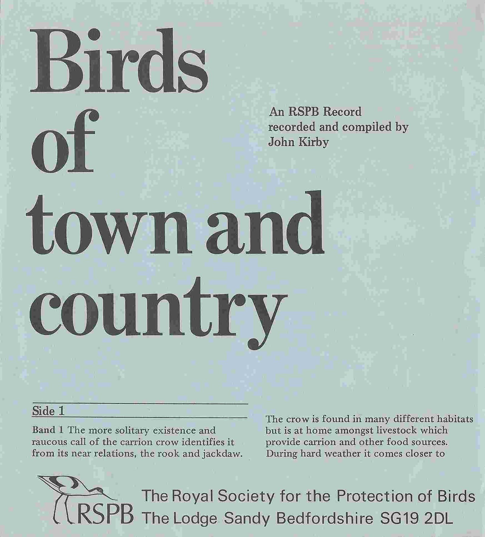 Picture of SFI 304 Birds of town & country by artist John Kirby